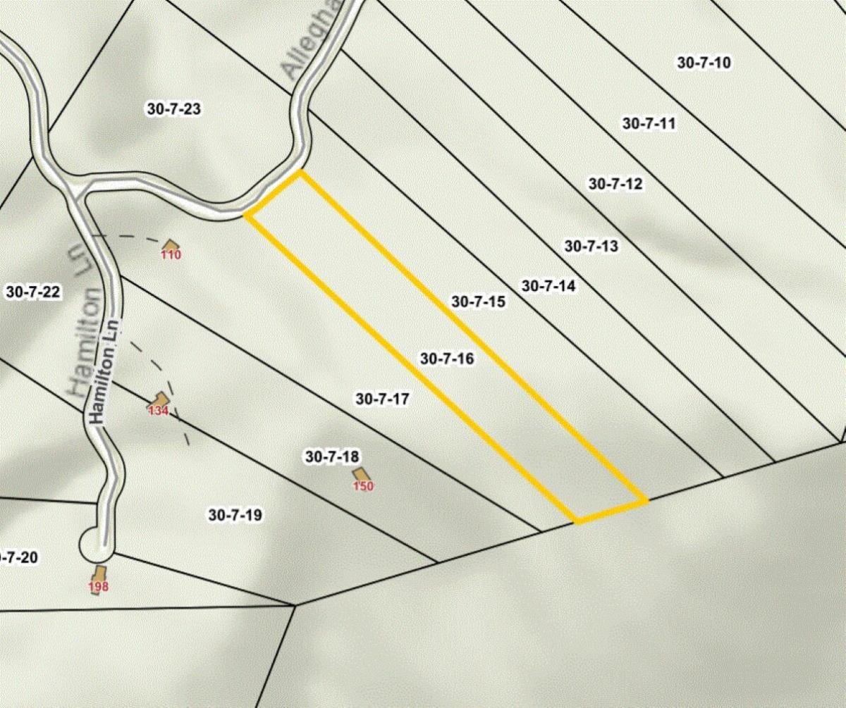 Picture of Residential Land For Sale in Max Meadows, Virginia, United States