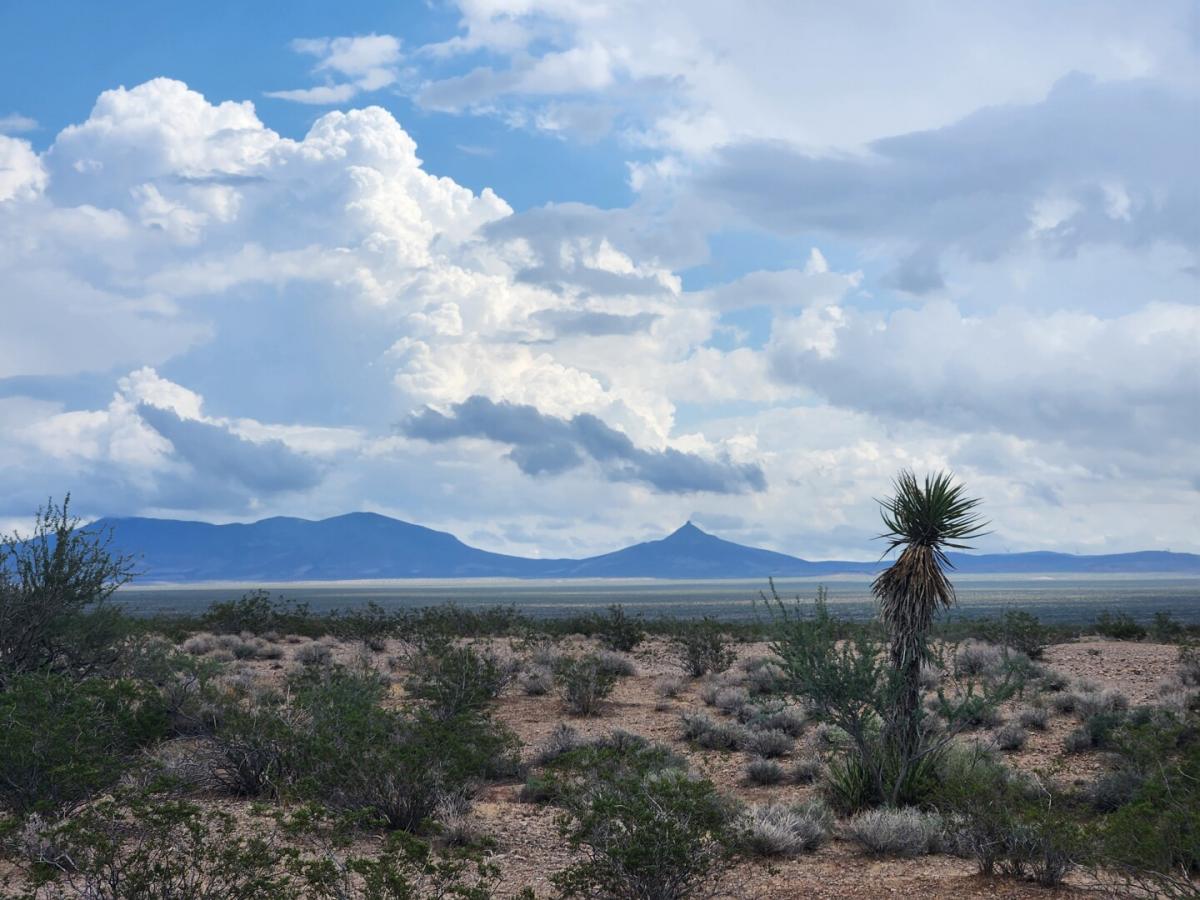 Picture of Residential Land For Sale in Temple Bar Marina, Arizona, United States