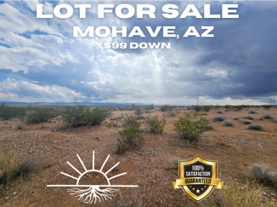 Residential Land For Sale in Temple Bar Marina, Arizona