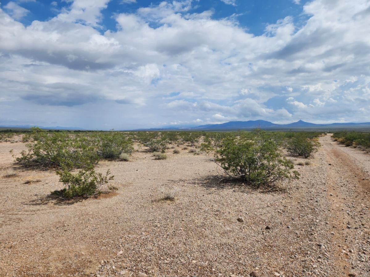 Picture of Residential Land For Sale in Temple Bar Marina, Arizona, United States