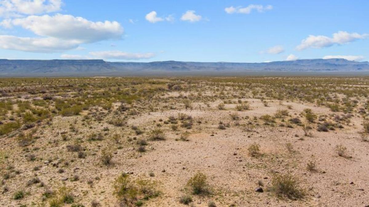 Picture of Residential Land For Sale in Yucca, Arizona, United States