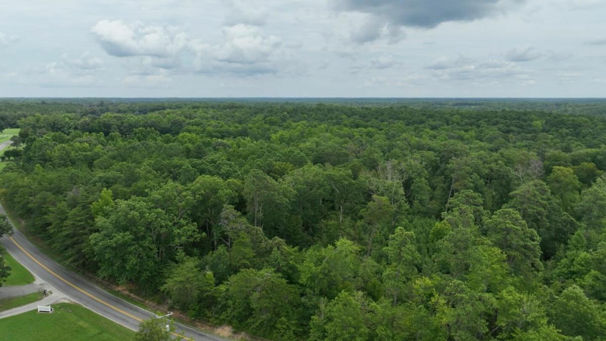 Picture of Residential Land For Sale in Warsaw, Virginia, United States