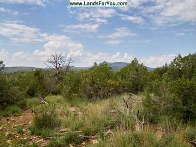 Residential Land For Sale in Seligman, Arizona