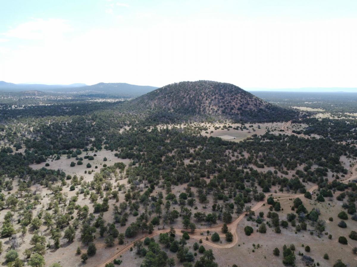 Picture of Residential Land For Sale in Ramah, New Mexico, United States