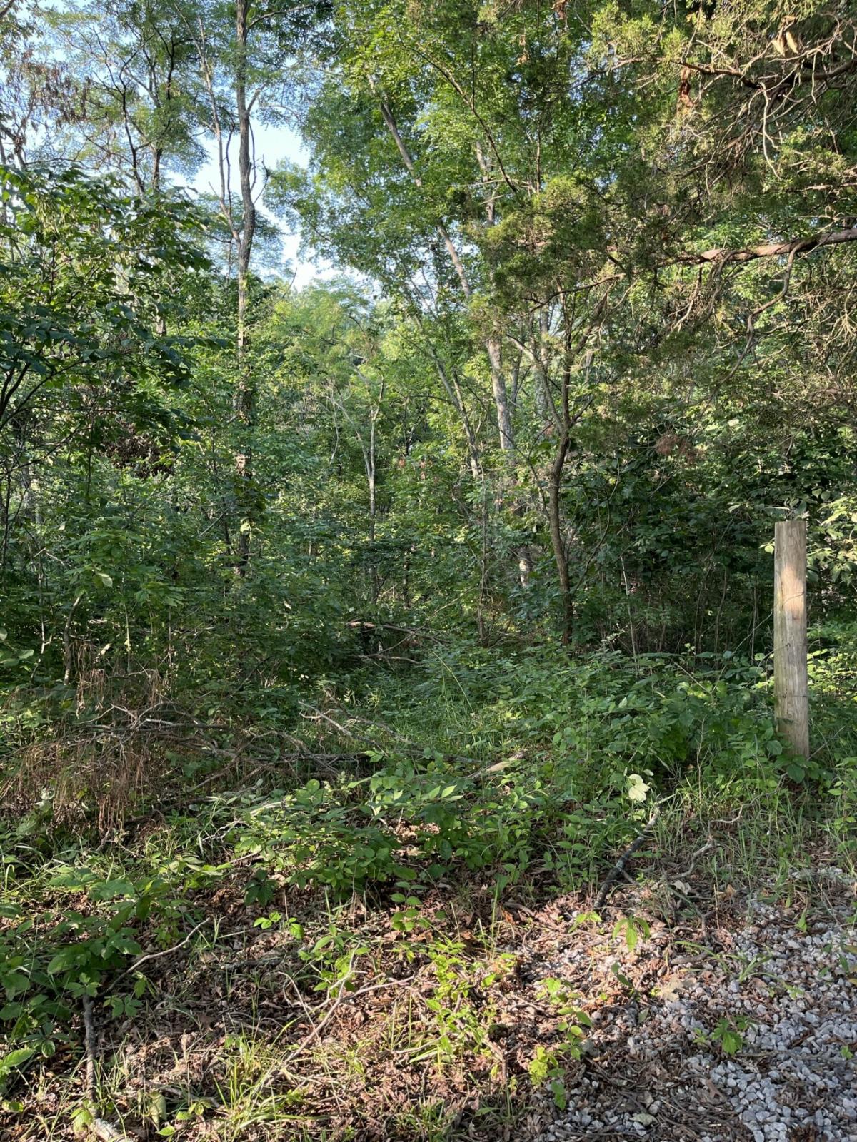 Picture of Residential Land For Sale in Dry Ridge, Kentucky, United States