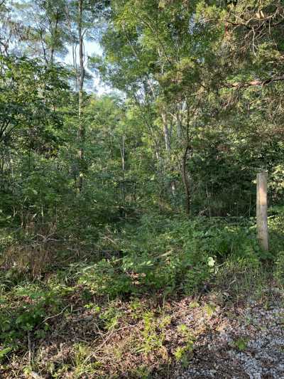 Residential Land For Sale in Dry Ridge, Kentucky