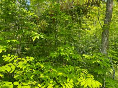 Residential Land For Sale in Brainerd, Minnesota