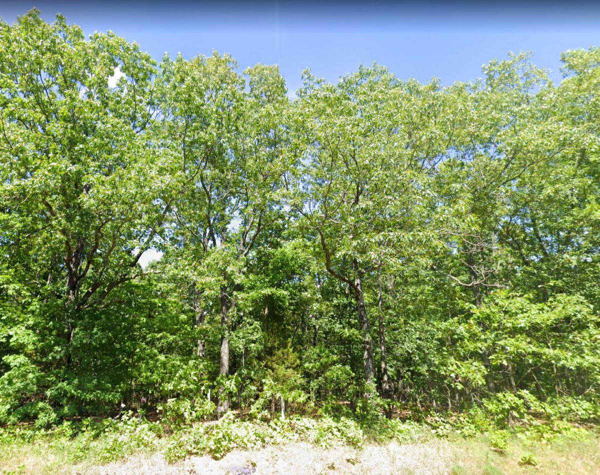 Picture of Residential Land For Sale in Raymondville, Missouri, United States