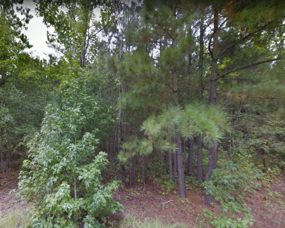 Picture of Residential Land For Sale in Bradley, South Carolina, United States