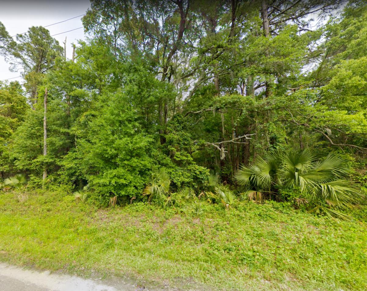 Picture of Residential Land For Sale in Perry, Florida, United States