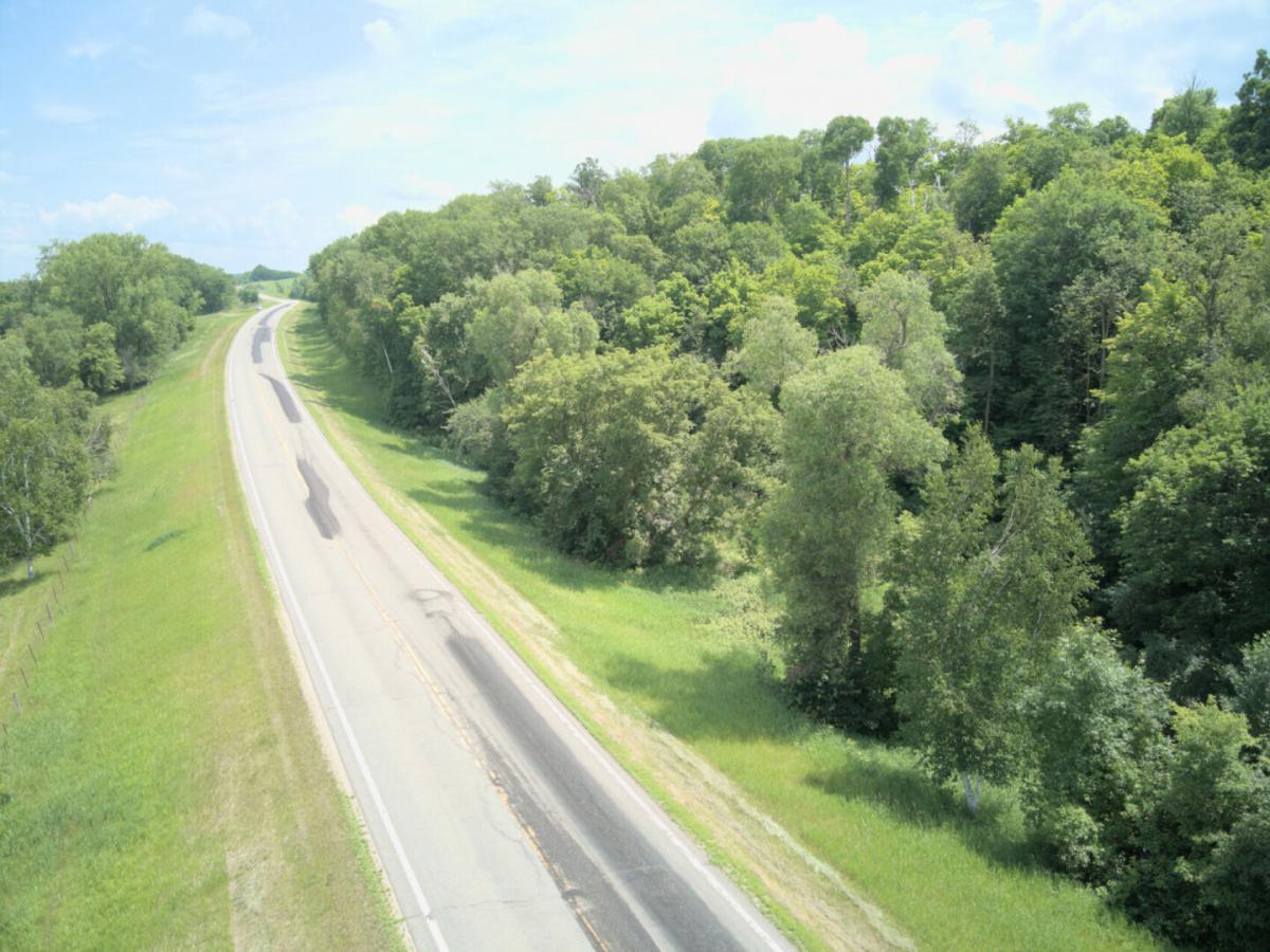 Picture of Residential Land For Sale in Erhard, Minnesota, United States