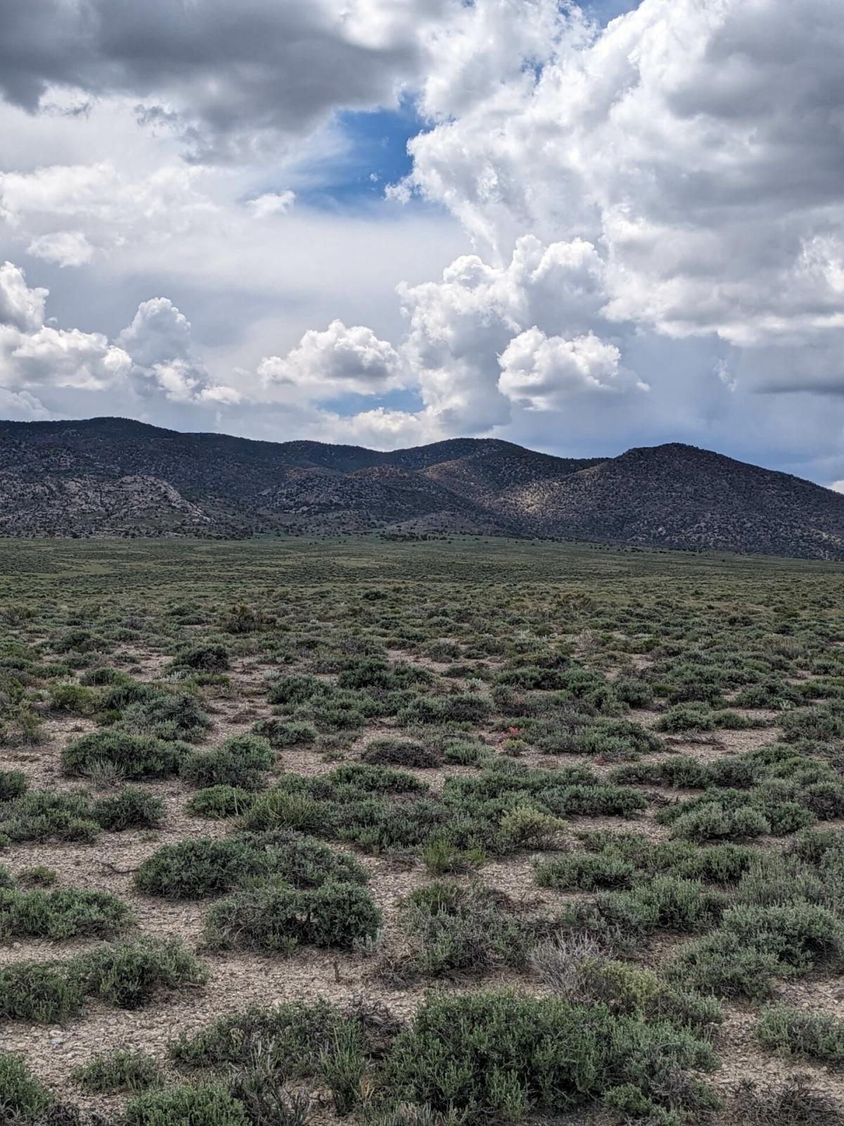 Picture of Residential Land For Sale in Montello, Nevada, United States