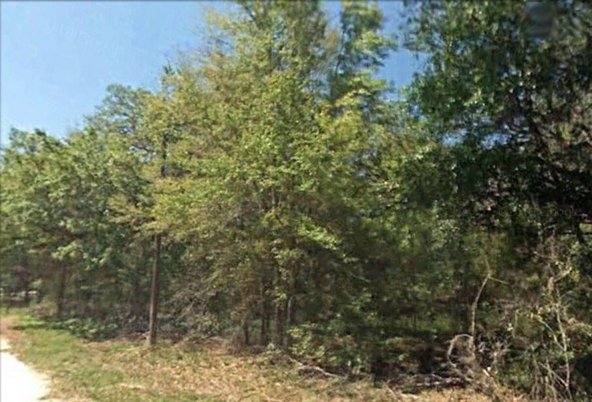 Picture of Residential Land For Sale in Fort Mccoy, Florida, United States