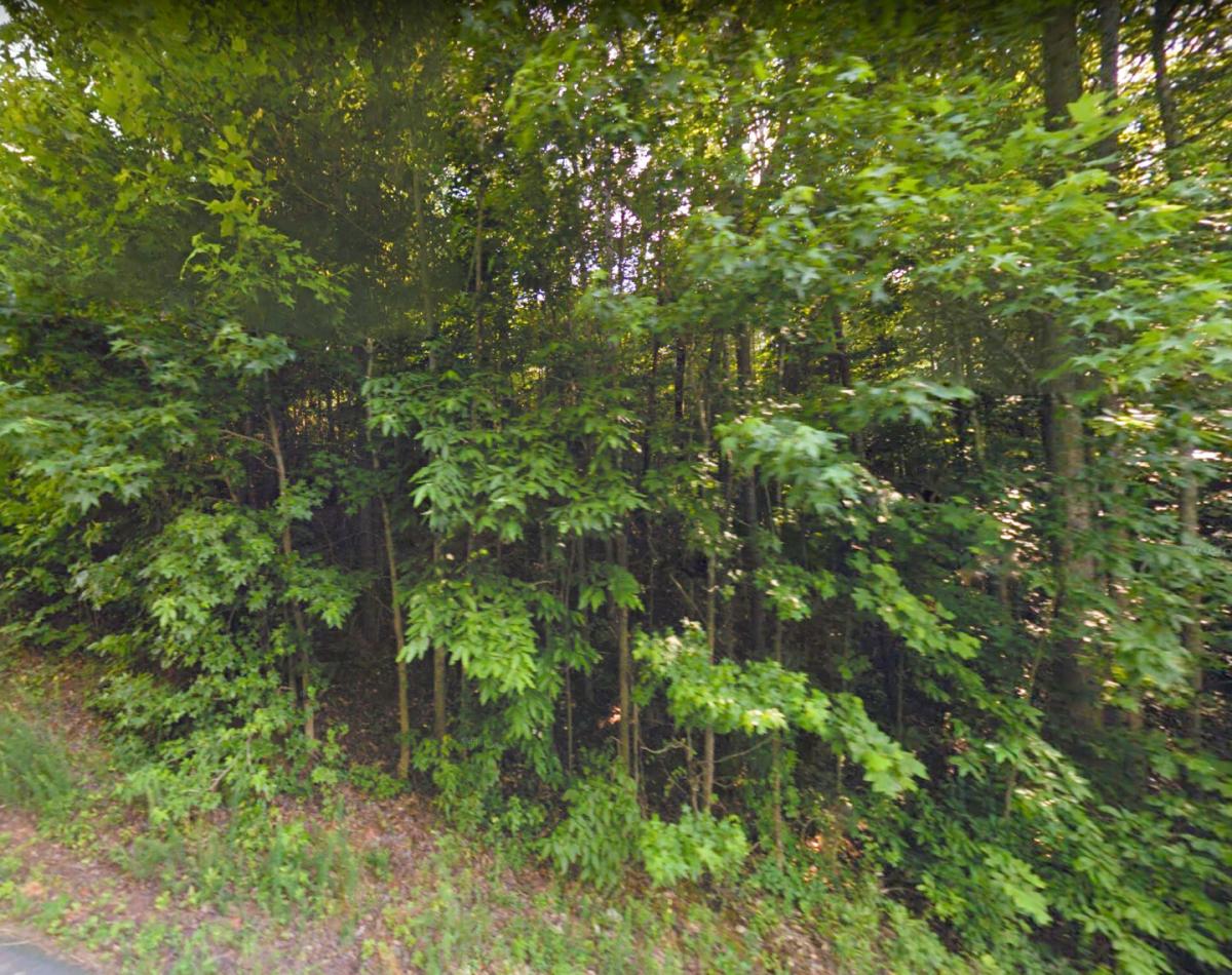 Picture of Residential Land For Sale in Iva, South Carolina, United States