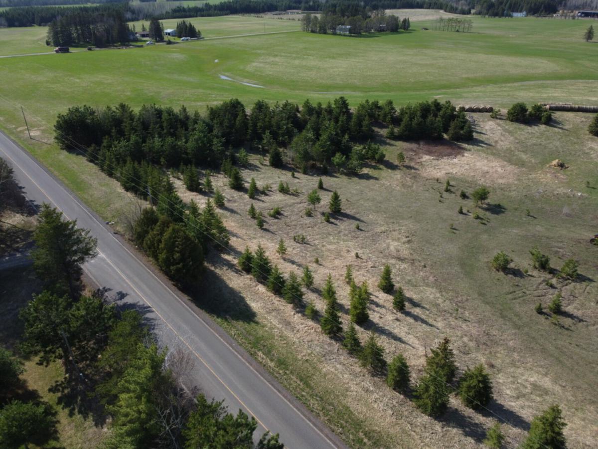 Picture of Residential Land For Sale in Meadowlands, Minnesota, United States