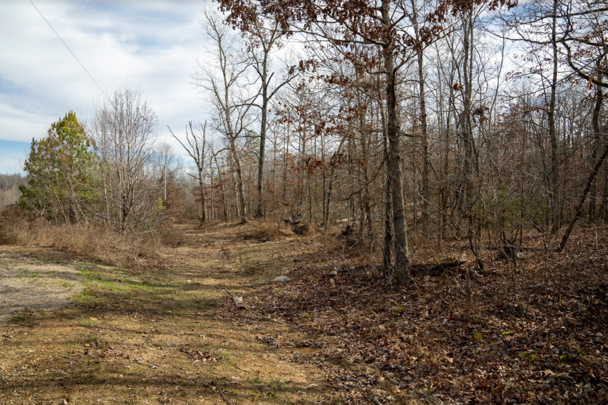 Picture of Residential Land For Sale in Poplar Bluff, Missouri, United States