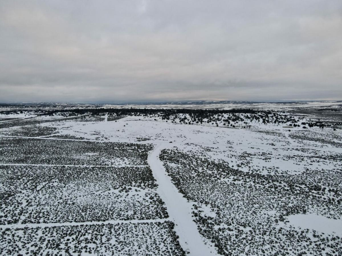 Picture of Residential Land For Sale in La Jara, New Mexico, United States