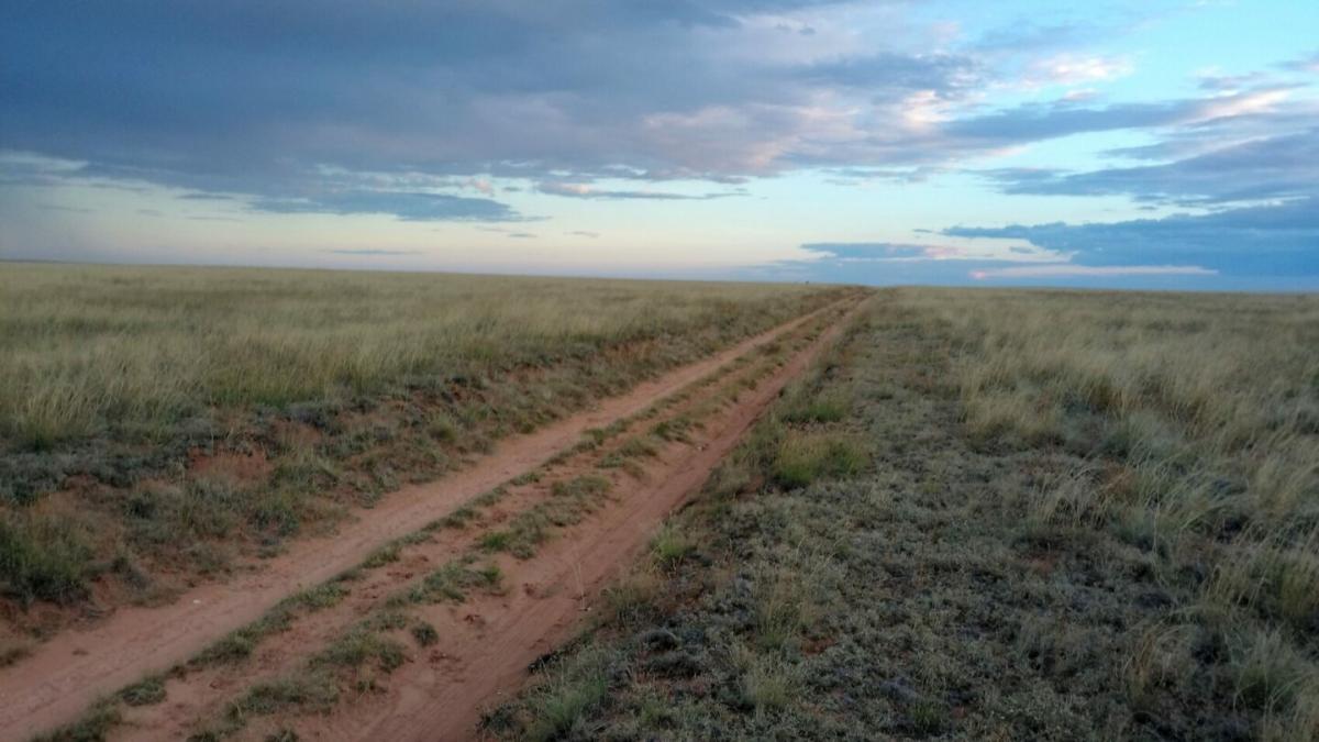 Picture of Residential Land For Sale in Moriarty, New Mexico, United States