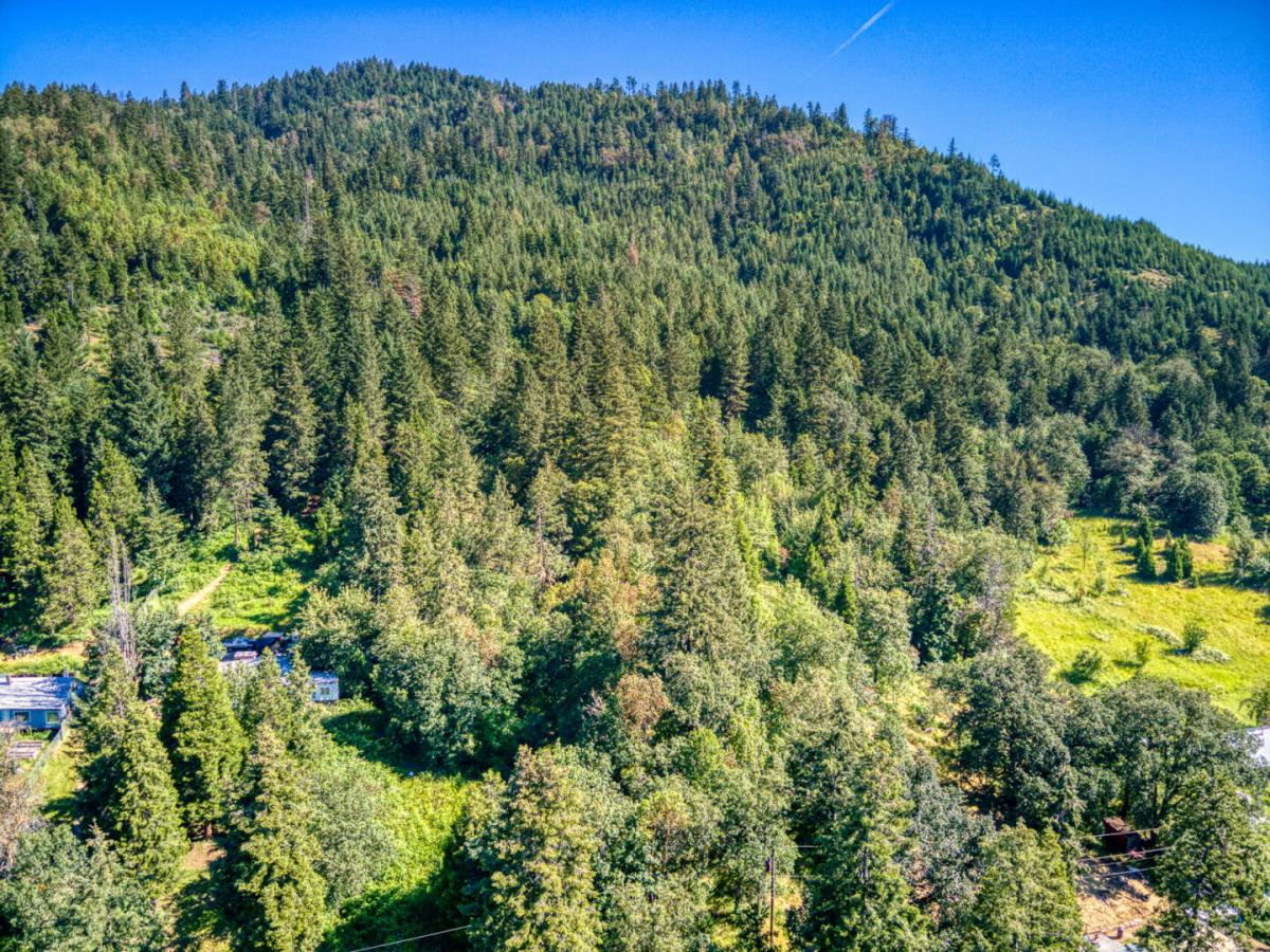 Picture of Residential Land For Sale in Glendale, Oregon, United States