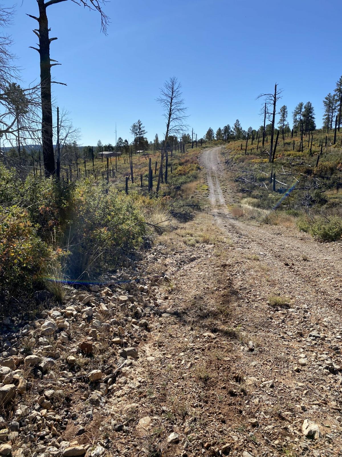 Picture of Residential Land For Sale in Timberon, New Mexico, United States