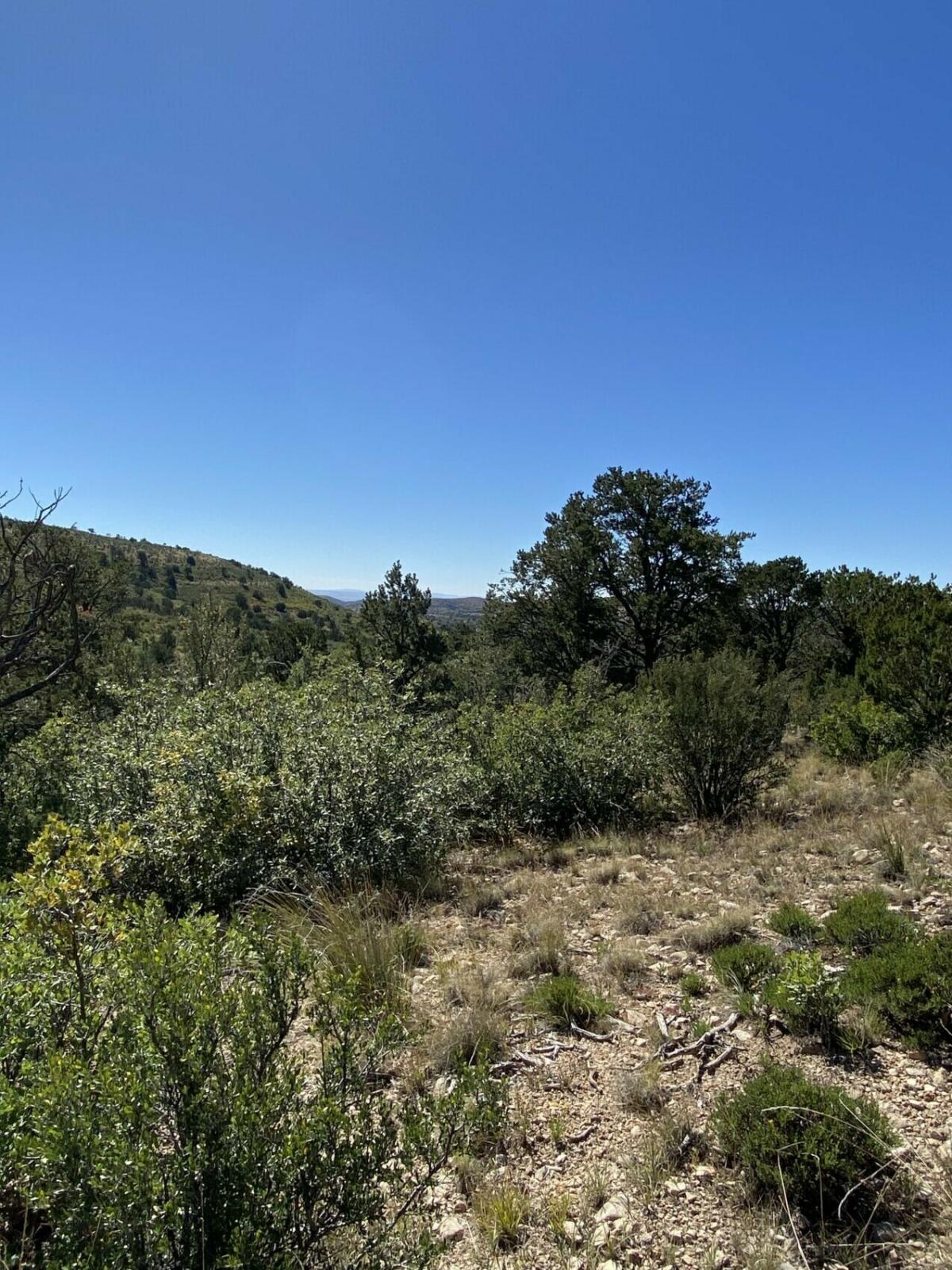 Picture of Residential Land For Sale in Timberon, New Mexico, United States