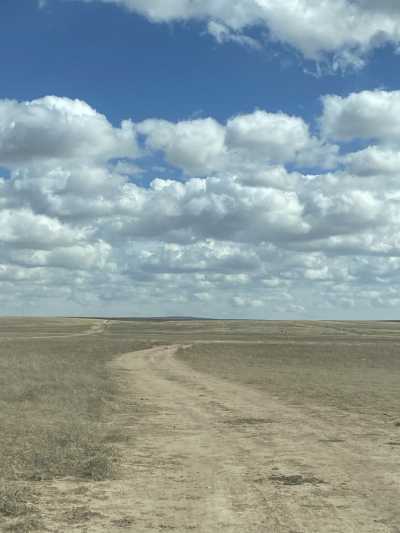 Residential Land For Sale in Estancia, New Mexico