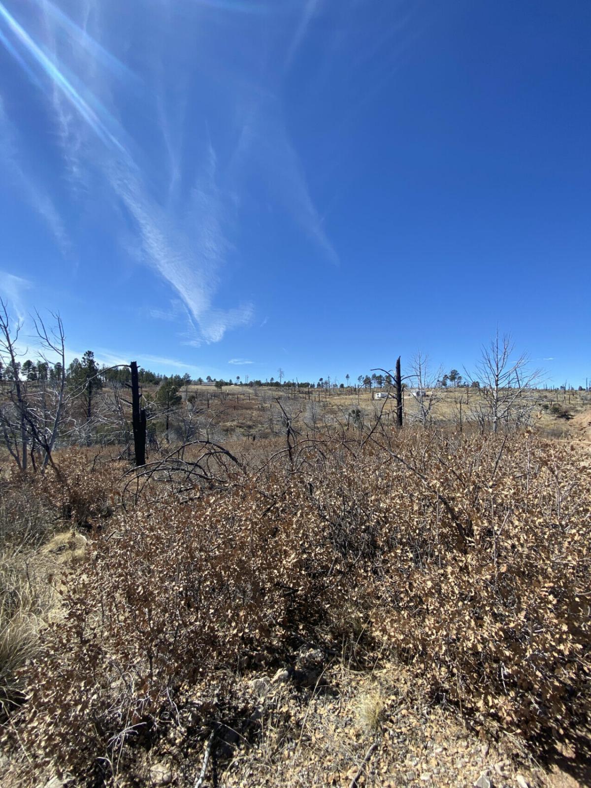 Picture of Residential Land For Sale in Timberon, New Mexico, United States