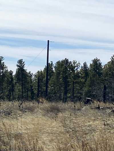 Residential Land For Sale in Cloudcroft, New Mexico