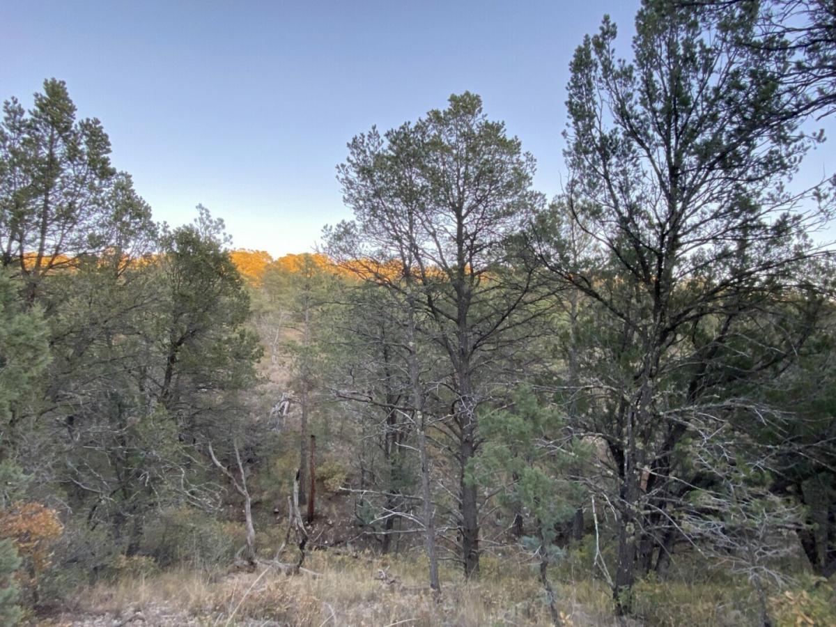 Picture of Residential Land For Sale in Cloudcroft, New Mexico, United States