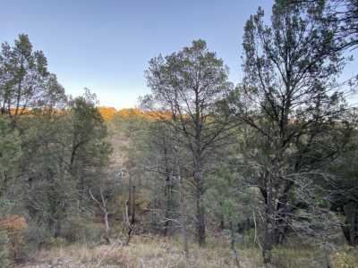 Residential Land For Sale in Cloudcroft, New Mexico