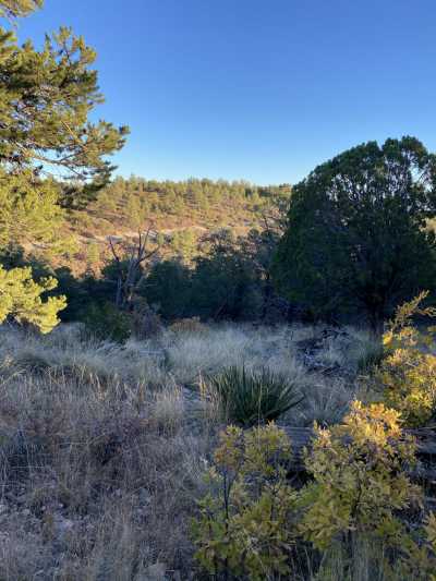 Residential Land For Sale in Cloudcroft, New Mexico