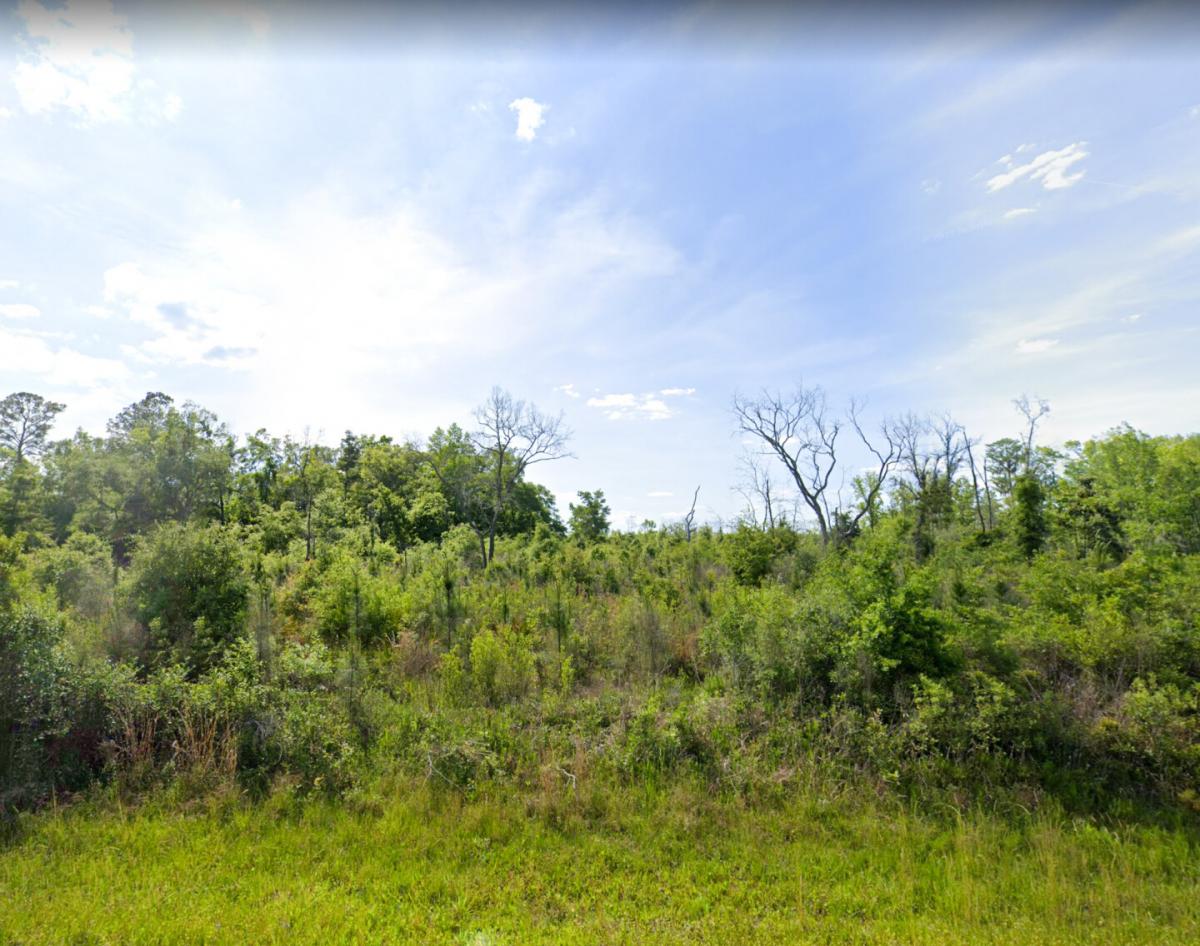 Picture of Residential Land For Sale in Greenville, Florida, United States