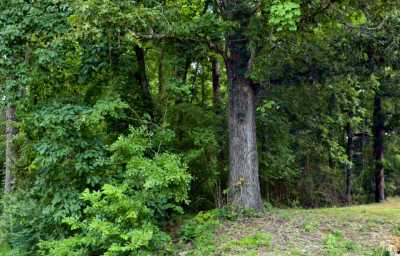 Residential Land For Sale in Tuscaloosa, Alabama