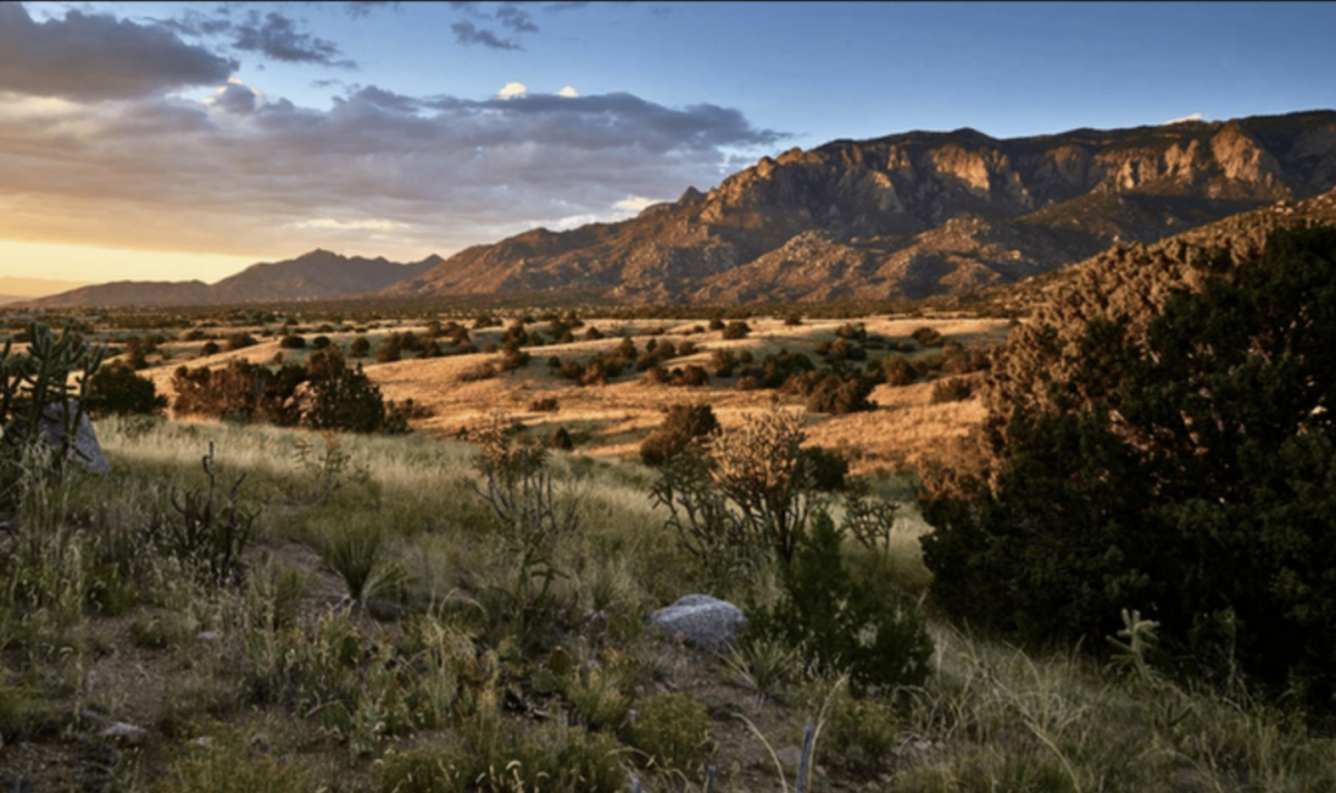 Picture of Residential Land For Sale in Belen, New Mexico, United States