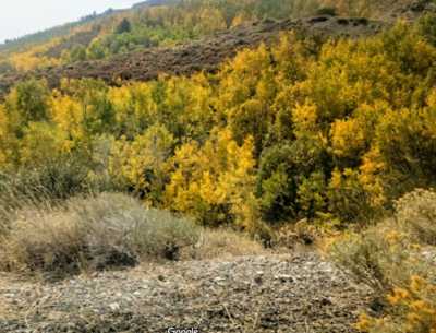 Residential Land For Sale in Montello, Nevada