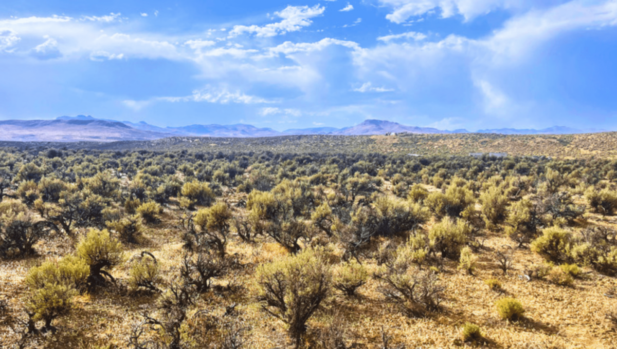 Picture of Residential Land For Sale in Elko, Nevada, United States