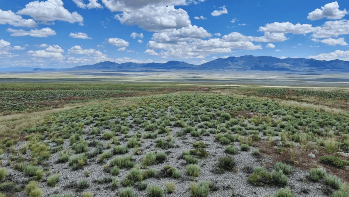 Picture of Residential Land For Sale in Elko, Nevada, United States