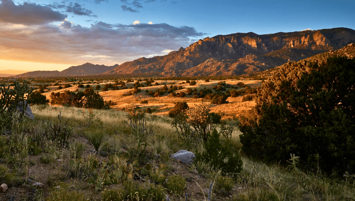 Picture of Residential Land For Sale in Los Lunas, New Mexico, United States