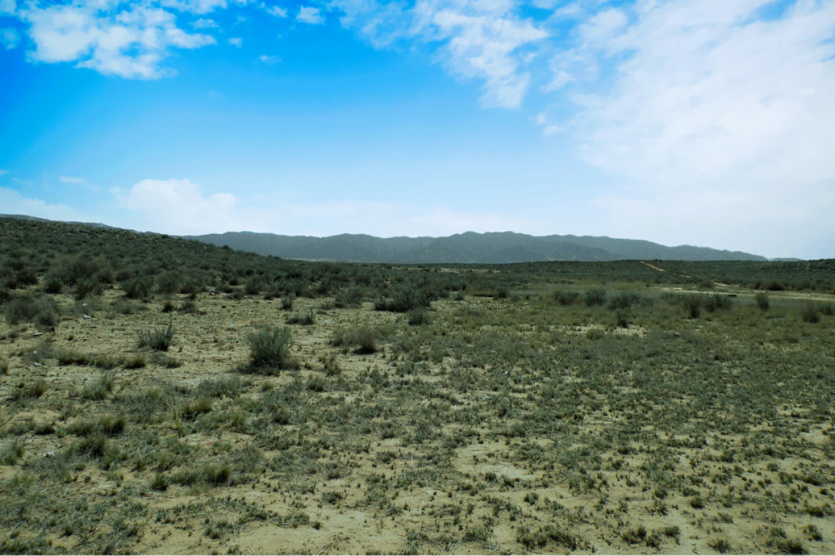 Picture of Residential Land For Sale in Los Lunas, New Mexico, United States