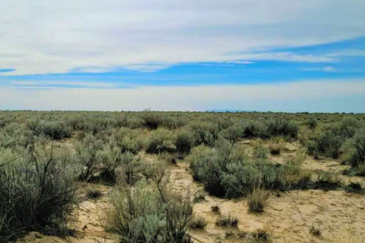 Picture of Residential Land For Sale in Los Lunas, New Mexico, United States