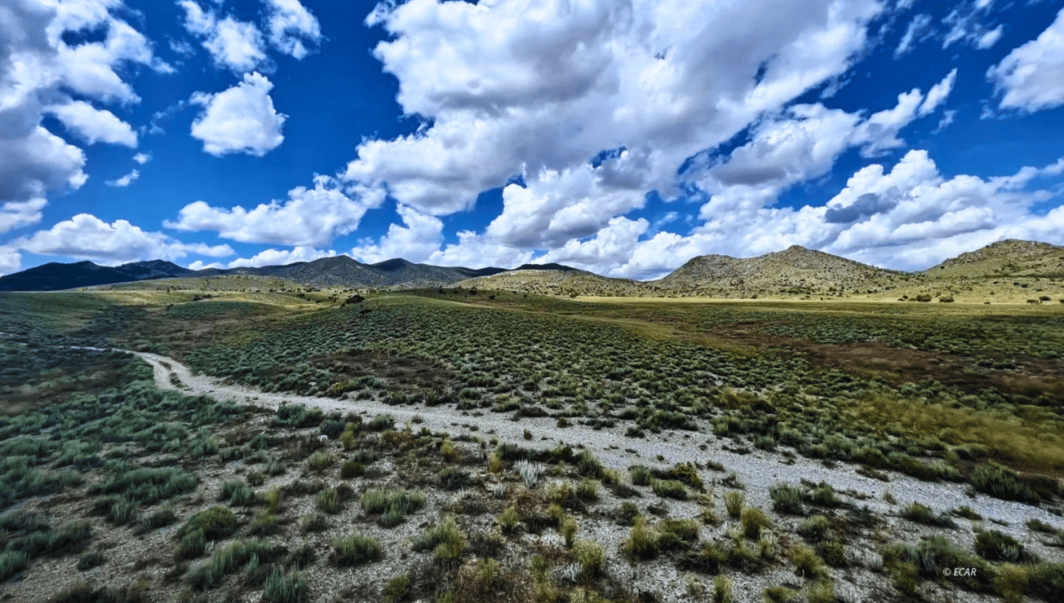 Picture of Residential Land For Sale in Elko, Nevada, United States