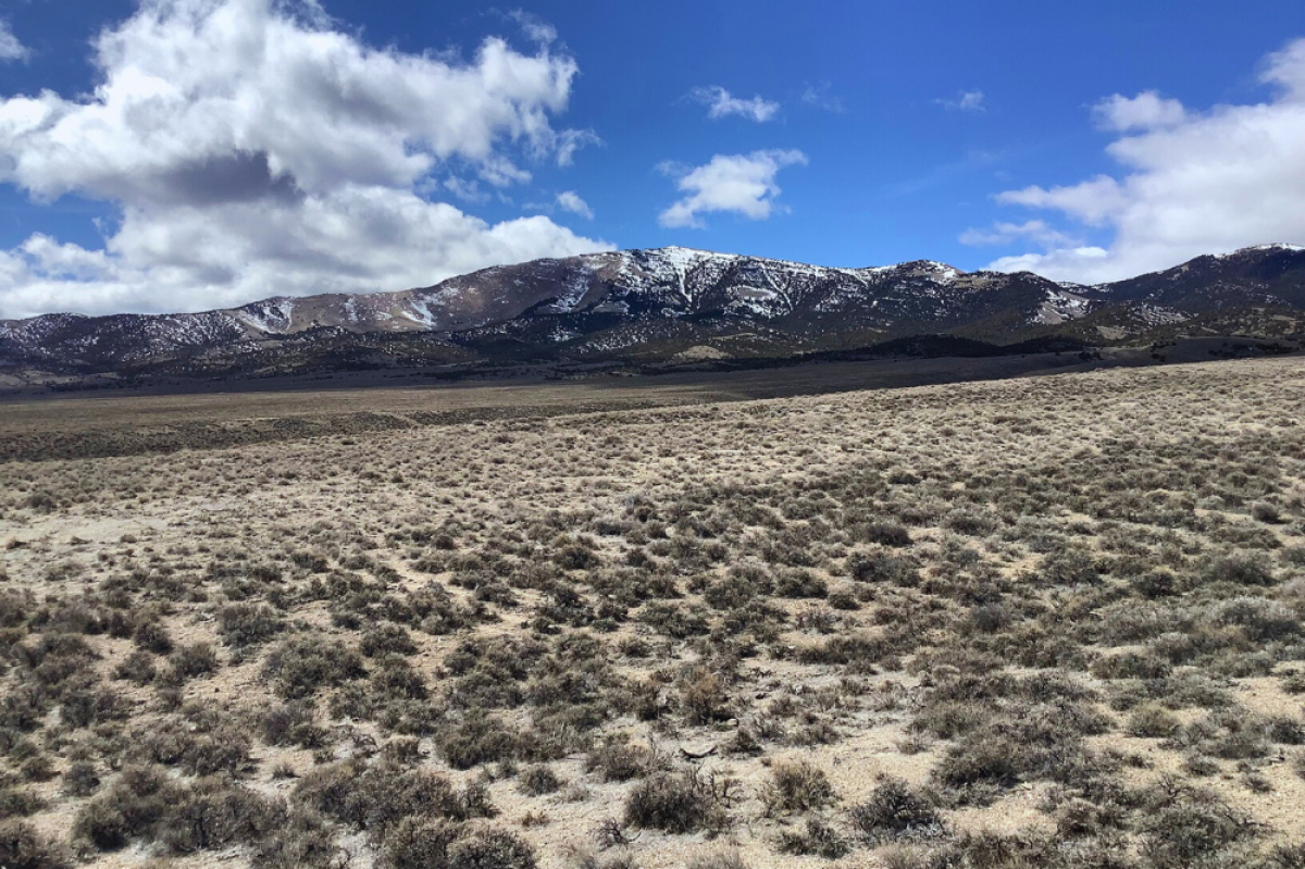 Picture of Residential Land For Sale in Montello, Nevada, United States