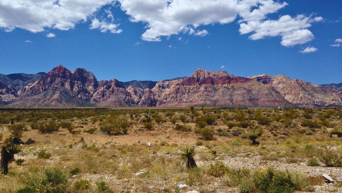 Picture of Residential Land For Sale in Montello, Nevada, United States