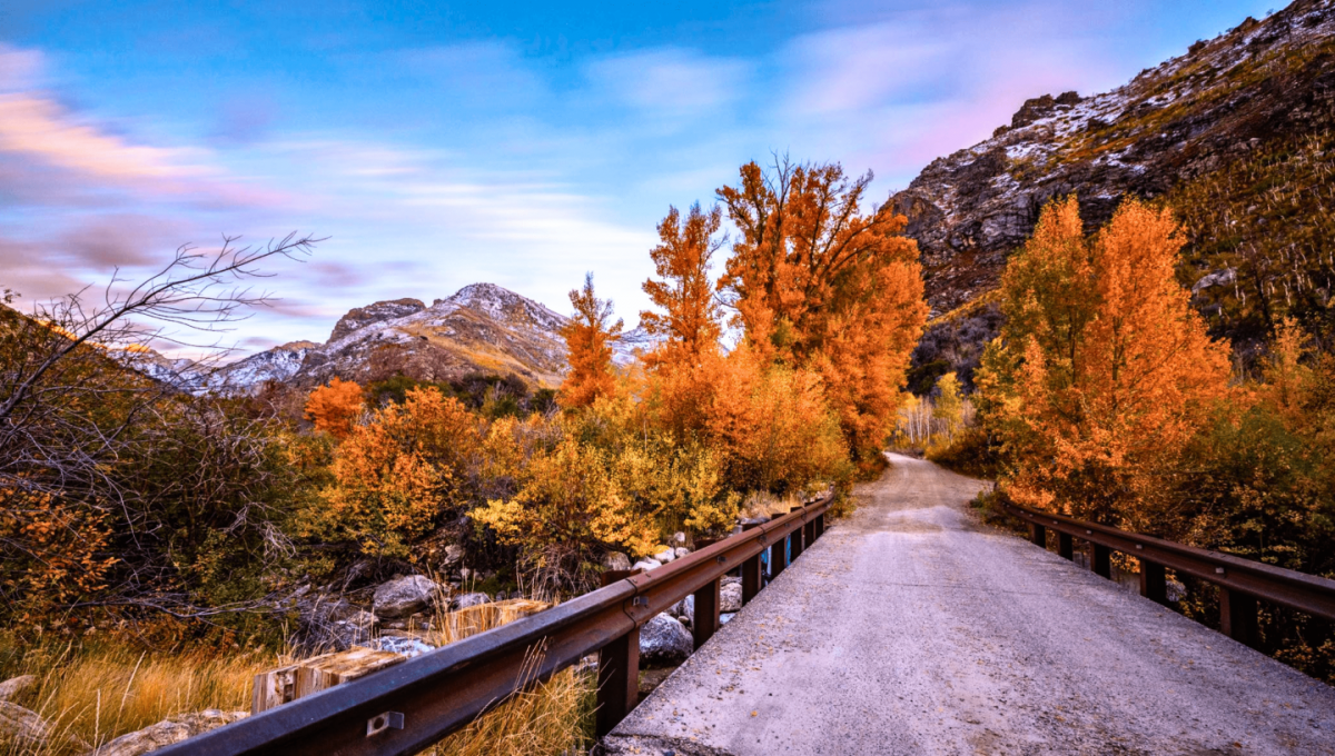 Picture of Residential Land For Sale in Elko, Nevada, United States