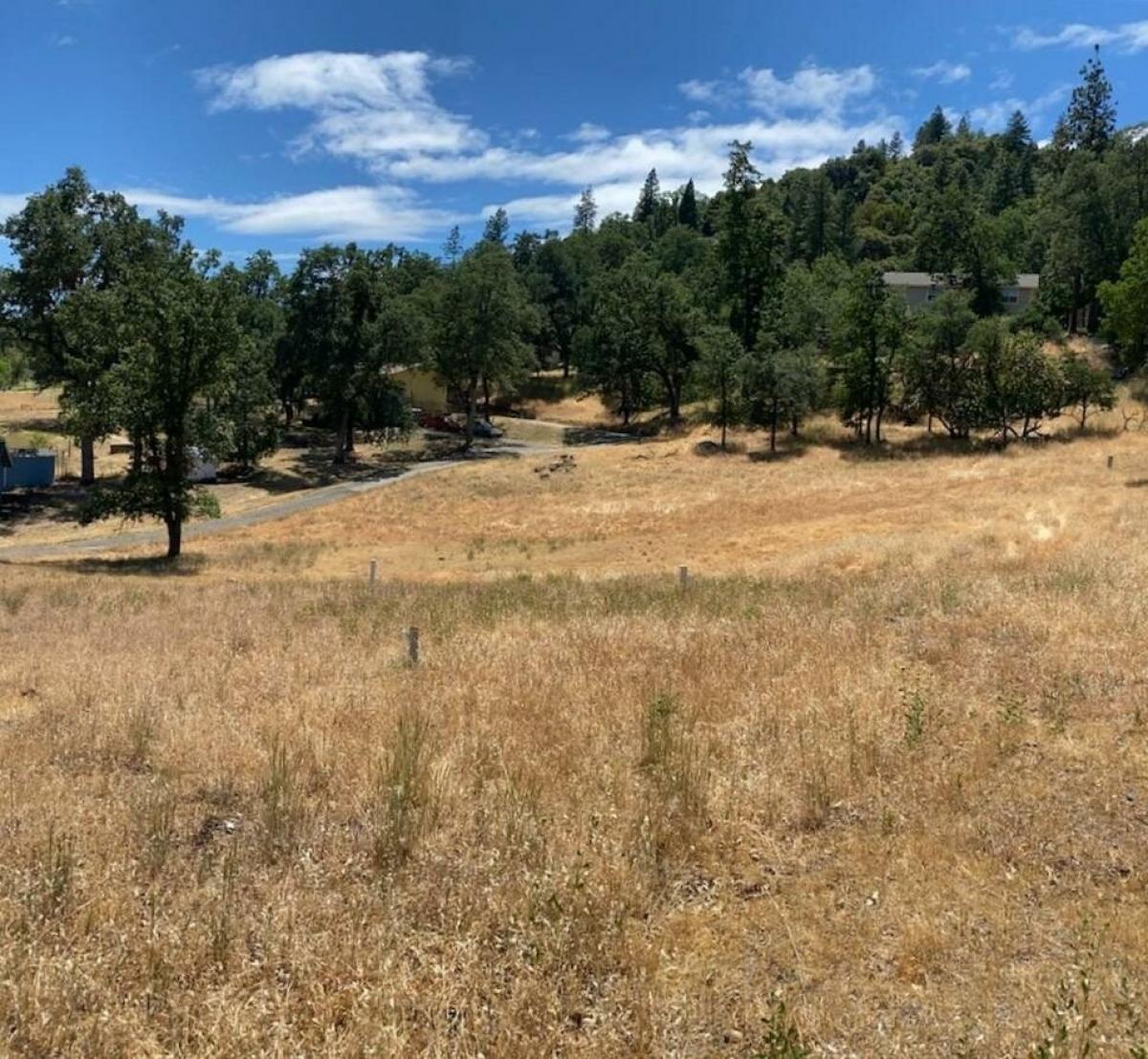 Picture of Residential Land For Sale in Pioneer, California, United States