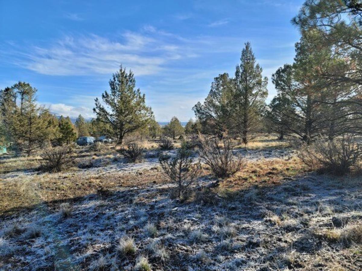 Picture of Residential Land For Sale in Bly, Oregon, United States