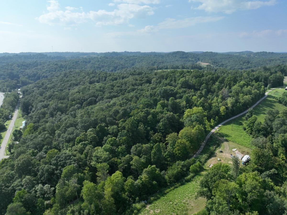 Picture of Residential Land For Sale in Walker, West Virginia, United States