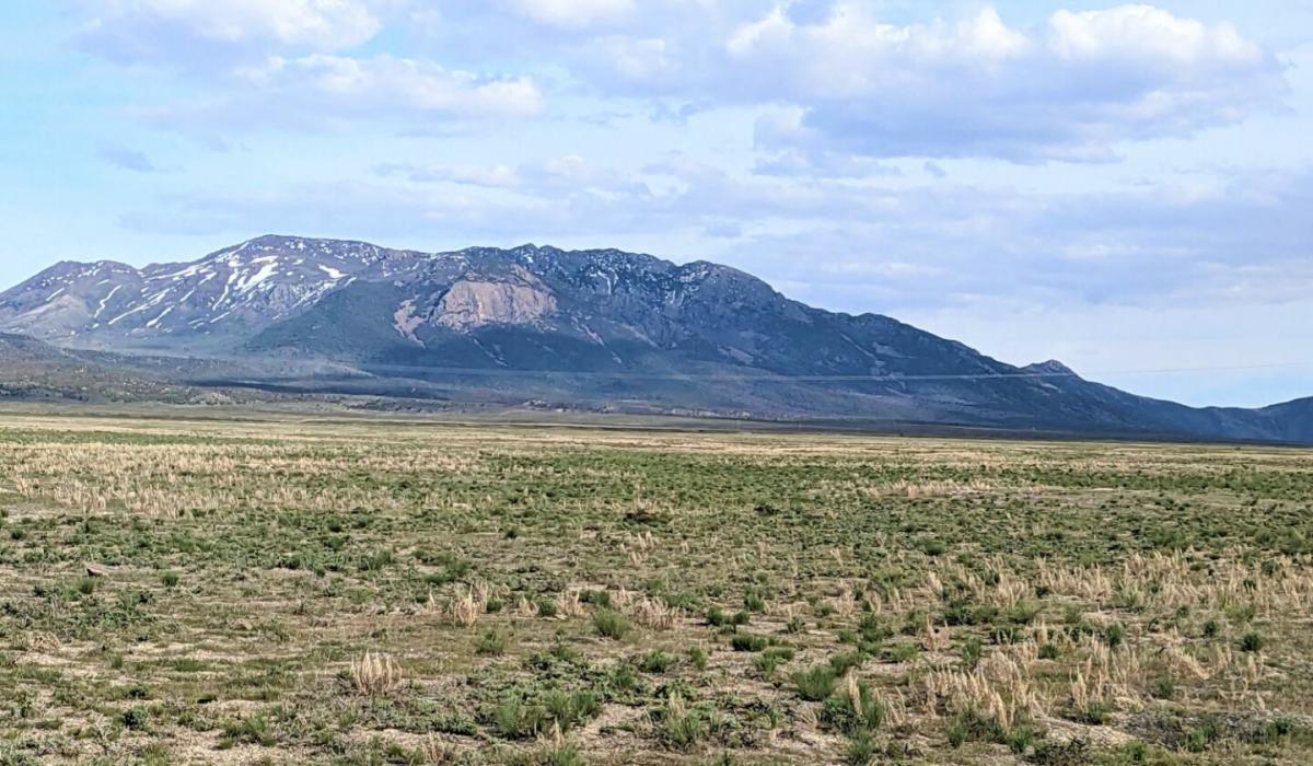 Picture of Residential Land For Sale in Spring Creek, Nevada, United States