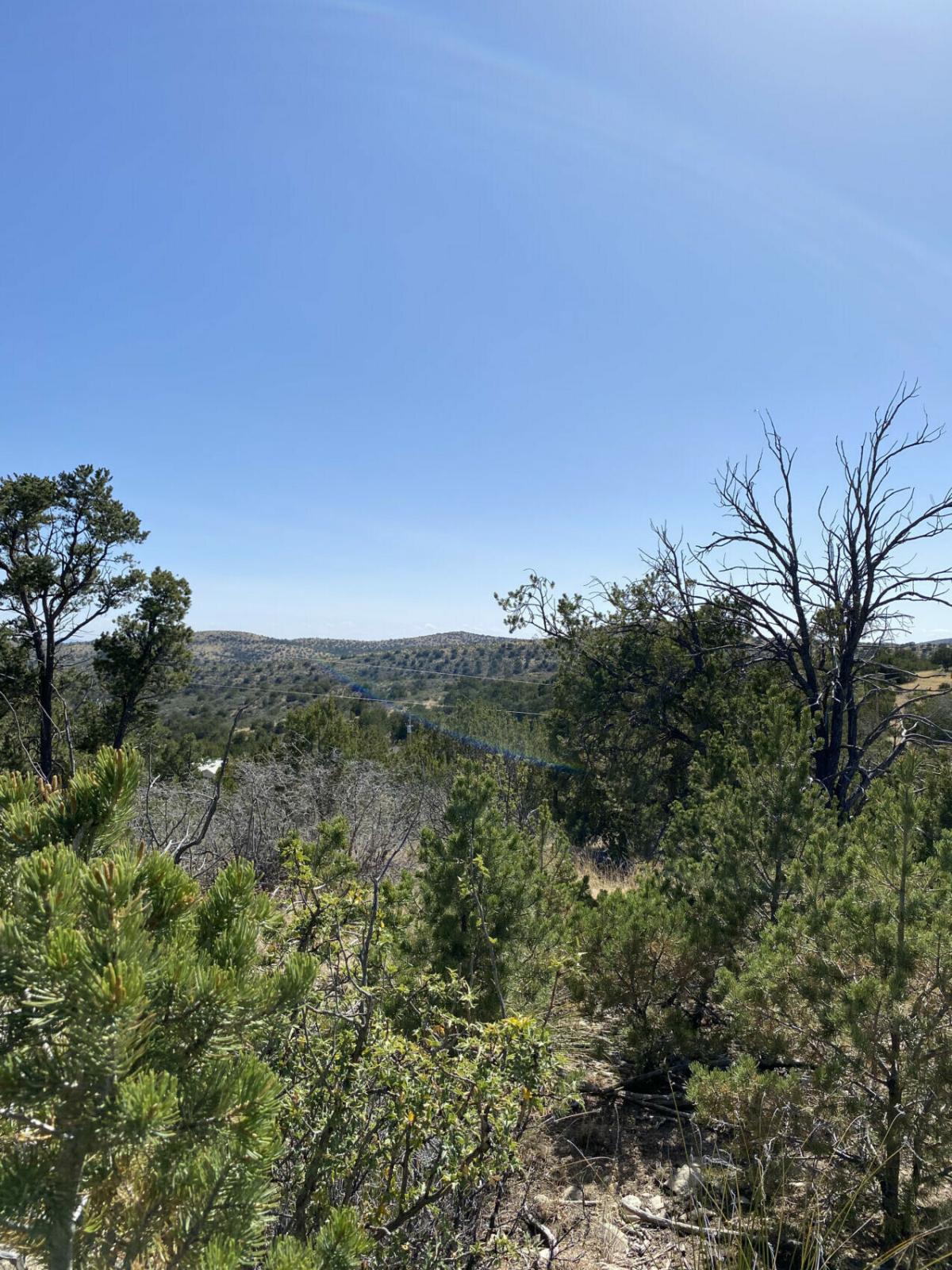 Picture of Residential Land For Sale in Timberon, New Mexico, United States