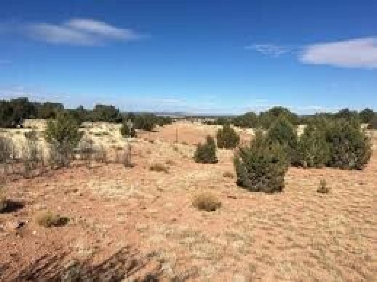 Picture of Residential Land For Sale in Seligman, Arizona, United States